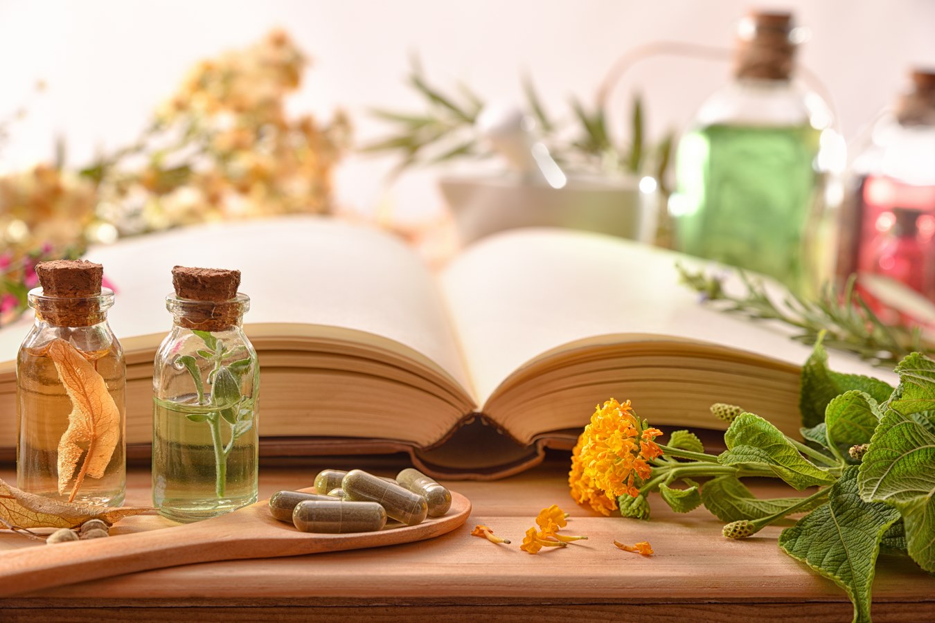 Formation en ligne Naturopathe Strasbourg Formation en ligne Naturopathe Strasbourg